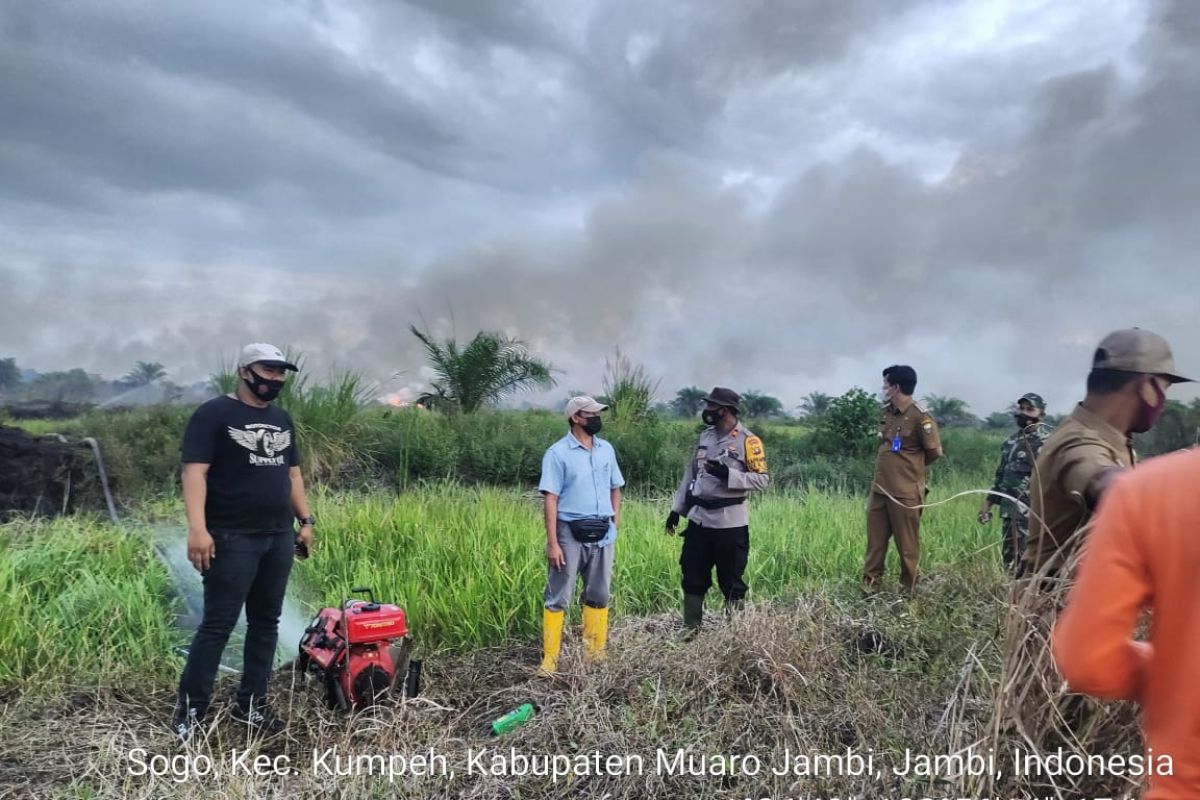 Karhutla di Jambi dalam tujuh bulan hanguskan 133,49 hektare