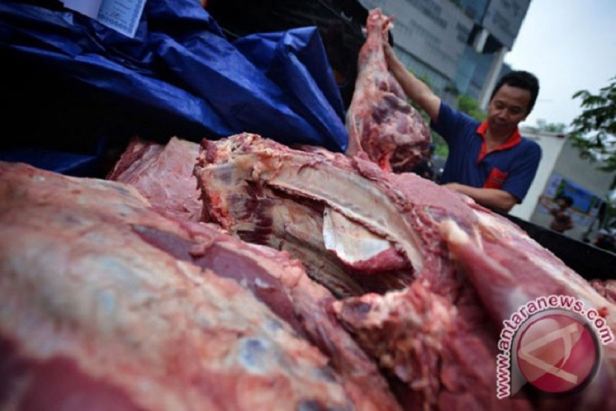 Penjualan daging beku di DKI jadi peluang bisnis saat pandemi COVID-19