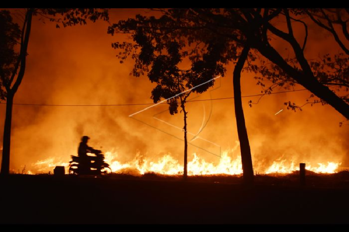 Sering kebakaran lahan, dikhawatirkan  Aceh Tengah bernasib seperti Turki