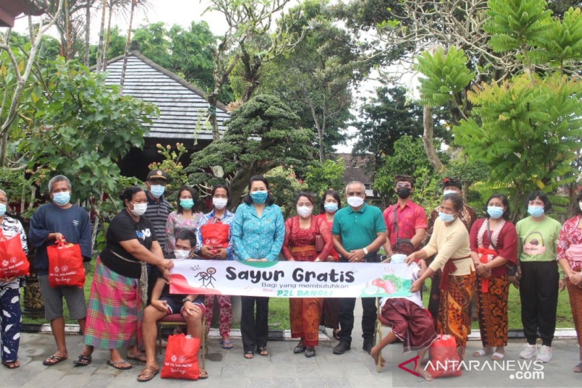 PKK Bangli berikan paket sayuran untuk penyandang disabilitas