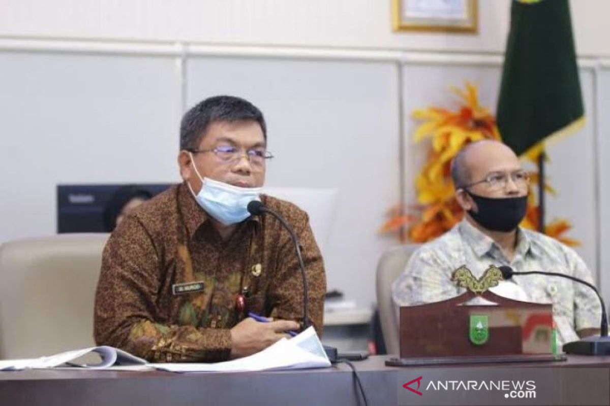 Kadis LHK akui sulit tangani karhutla di Riau