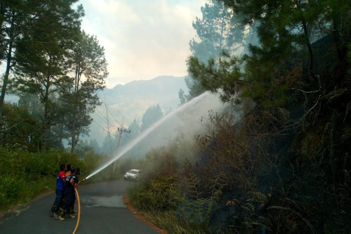 Tiga hektare lahan di Aceh Tengah dilaporkan terbakar