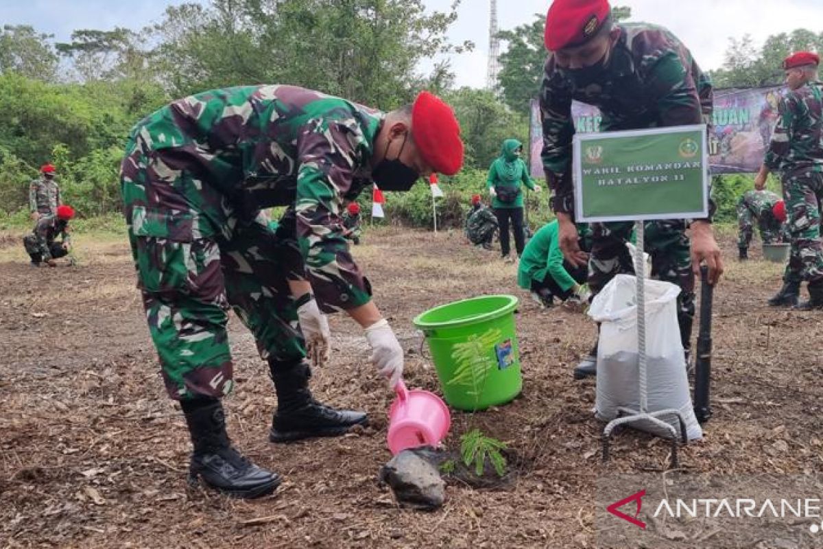 Grup 1 Kopassus TNI AD tanam 13.000 pohon berbagai jenis