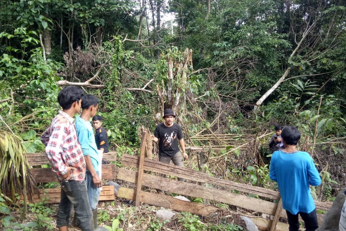 Petugas konservasi menghalau beruang madu dari kebun warga di Agam