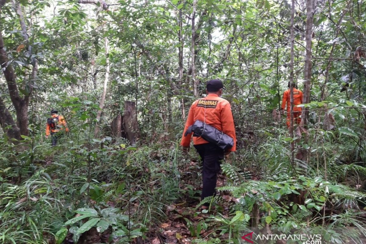 SAR belum temukan lansia hilang di hutan Konawe meski lima hari dicari