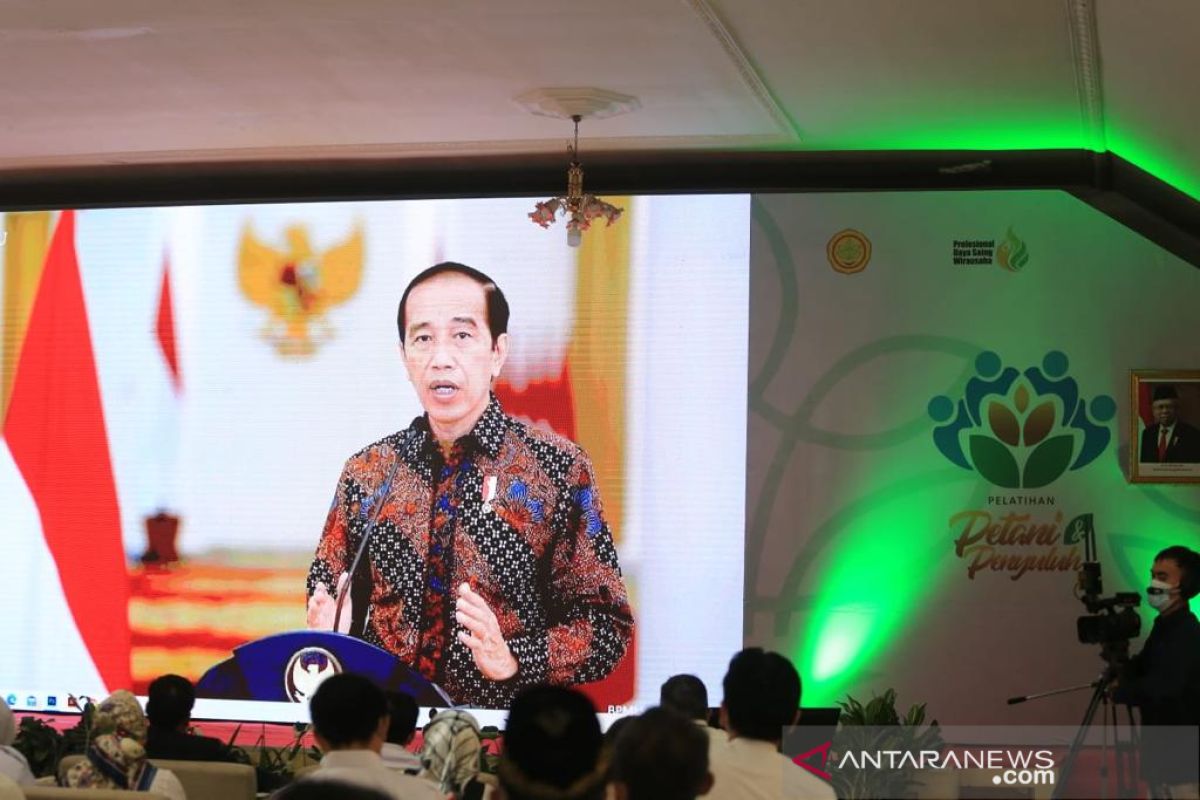 Jokowi ingin petani jadi profesi yang menjanjikan