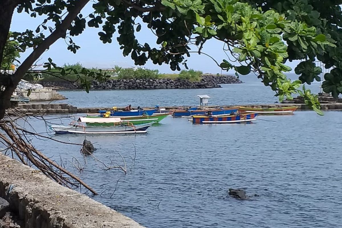 North Maluku optimistic about fishery sector flourishing amid pandemic