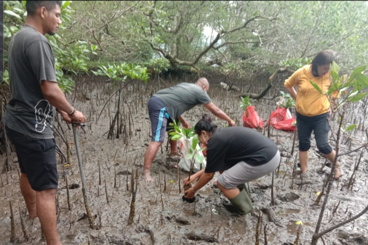 Green Moluccas galakkan adopsi mangrove