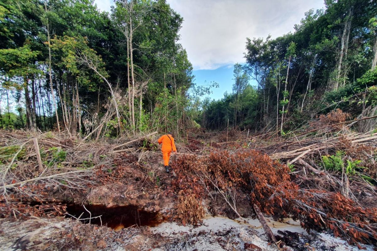 Dua warga dilaporkan tersesat di hutan Sungai Maya Tarakan