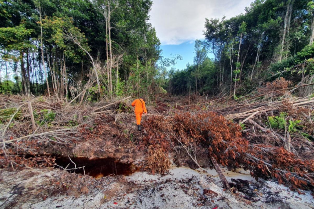 Dua Orang Dilaporkan Hilang di Hutan Sungai Maya Tarakan