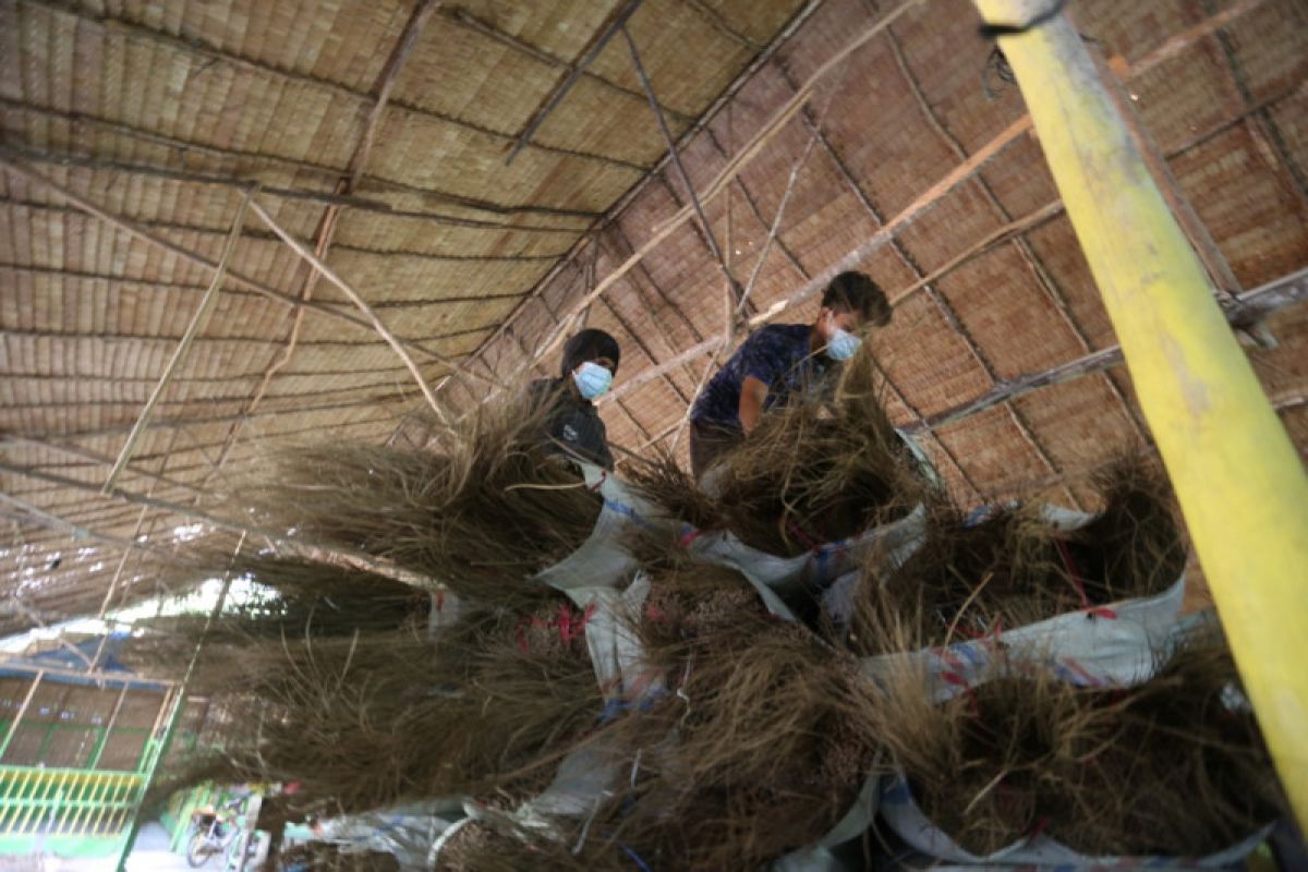 Kampung Matfa Sei Lepan kirim lidi ke Pakistan