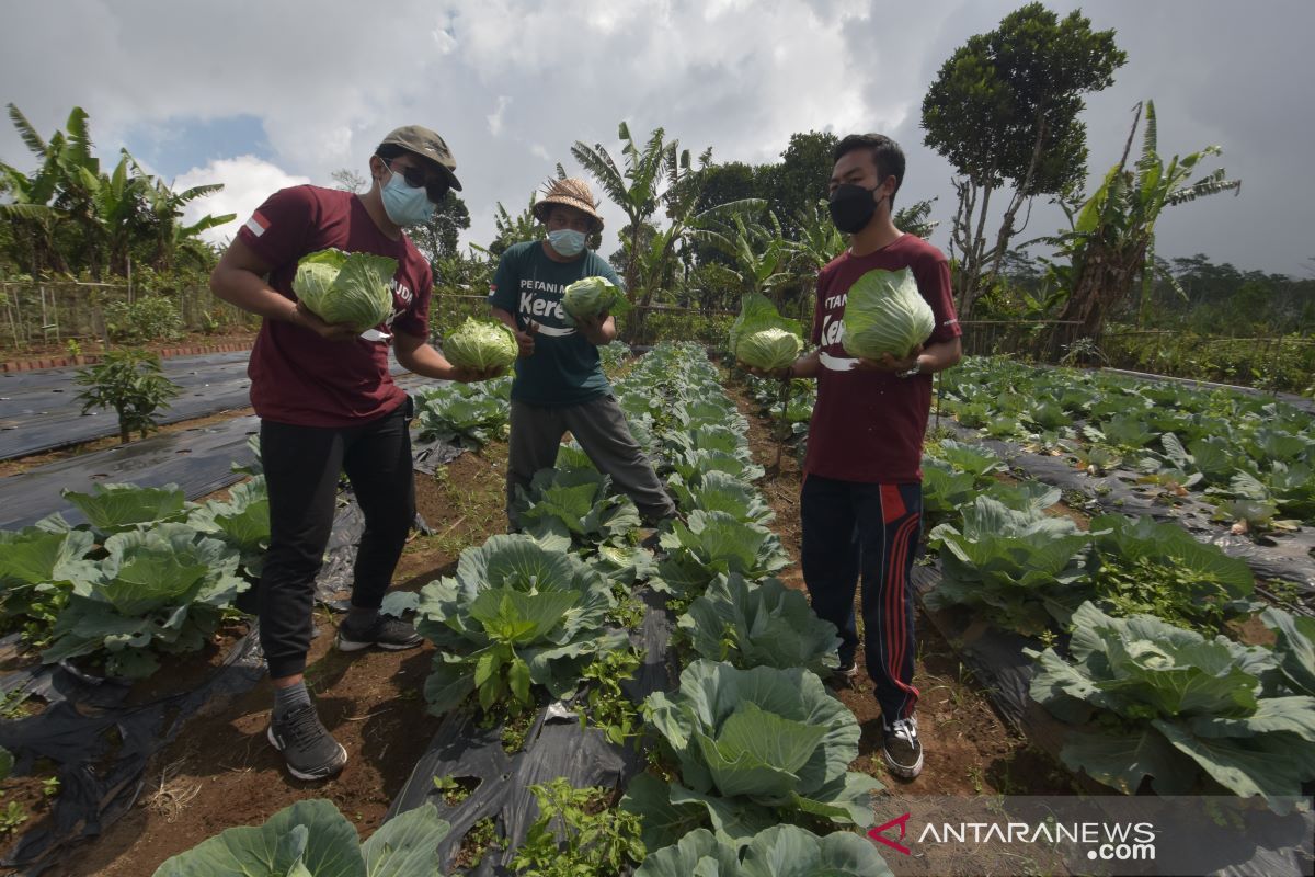 Pemuda Desa Gobleg-Buleleng adakan Pelatihan Pertanian Berbasis Teknologi