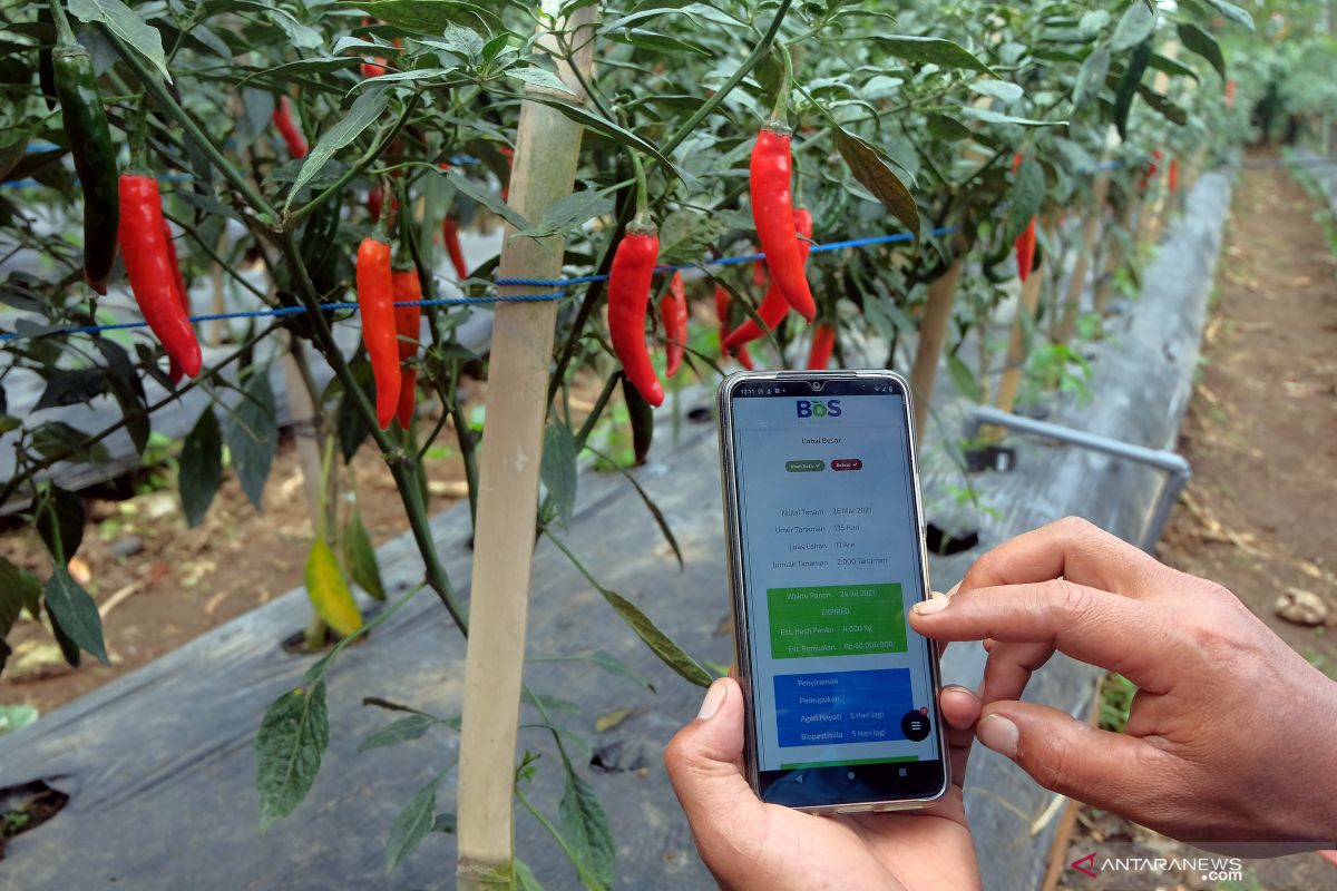 ID FOOD turns to smart agriculture to anticipate food crisis