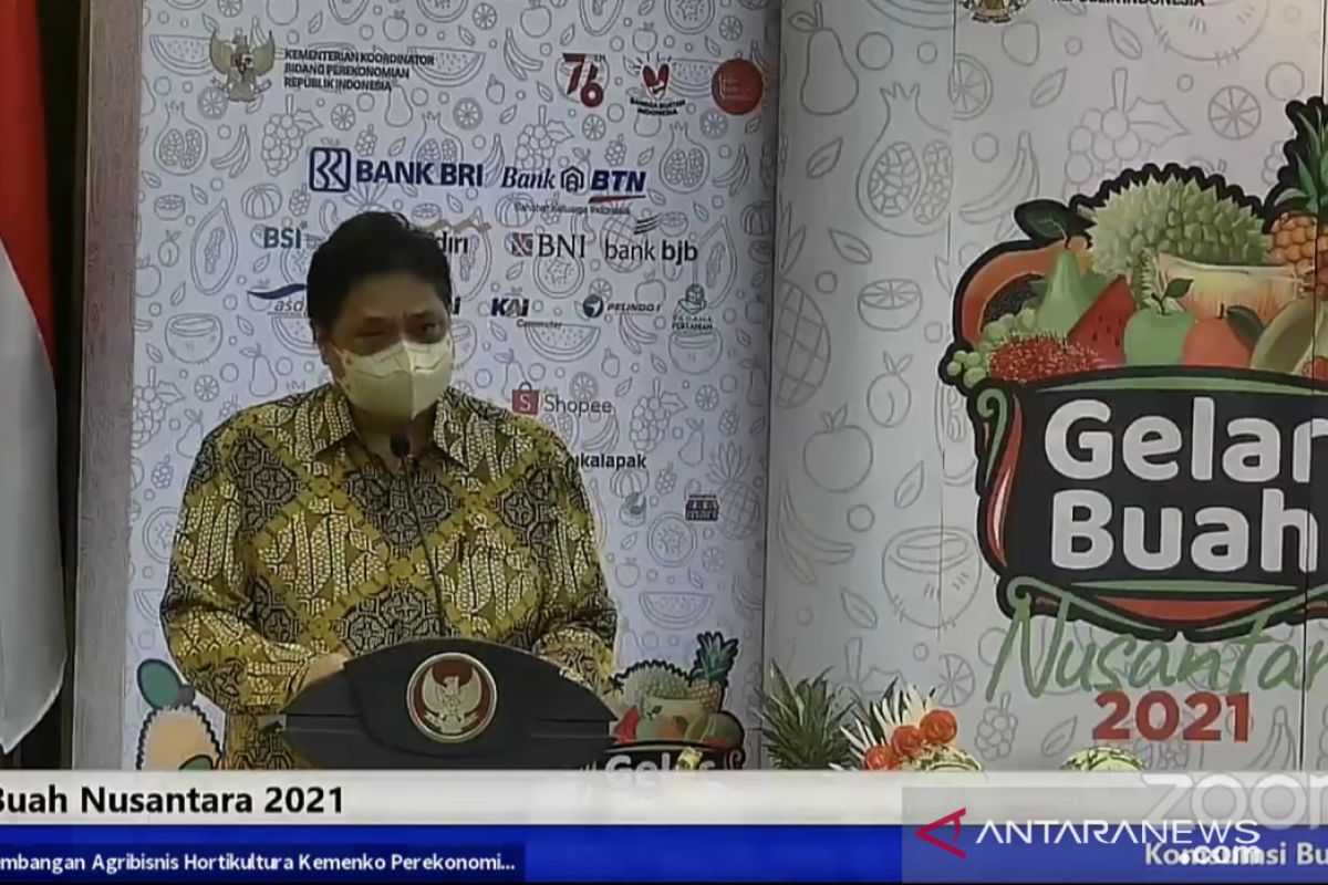 Gelar Buah Nusantara (GBN) jadi momentum kebangkitan komoditas buah dan ekonomi