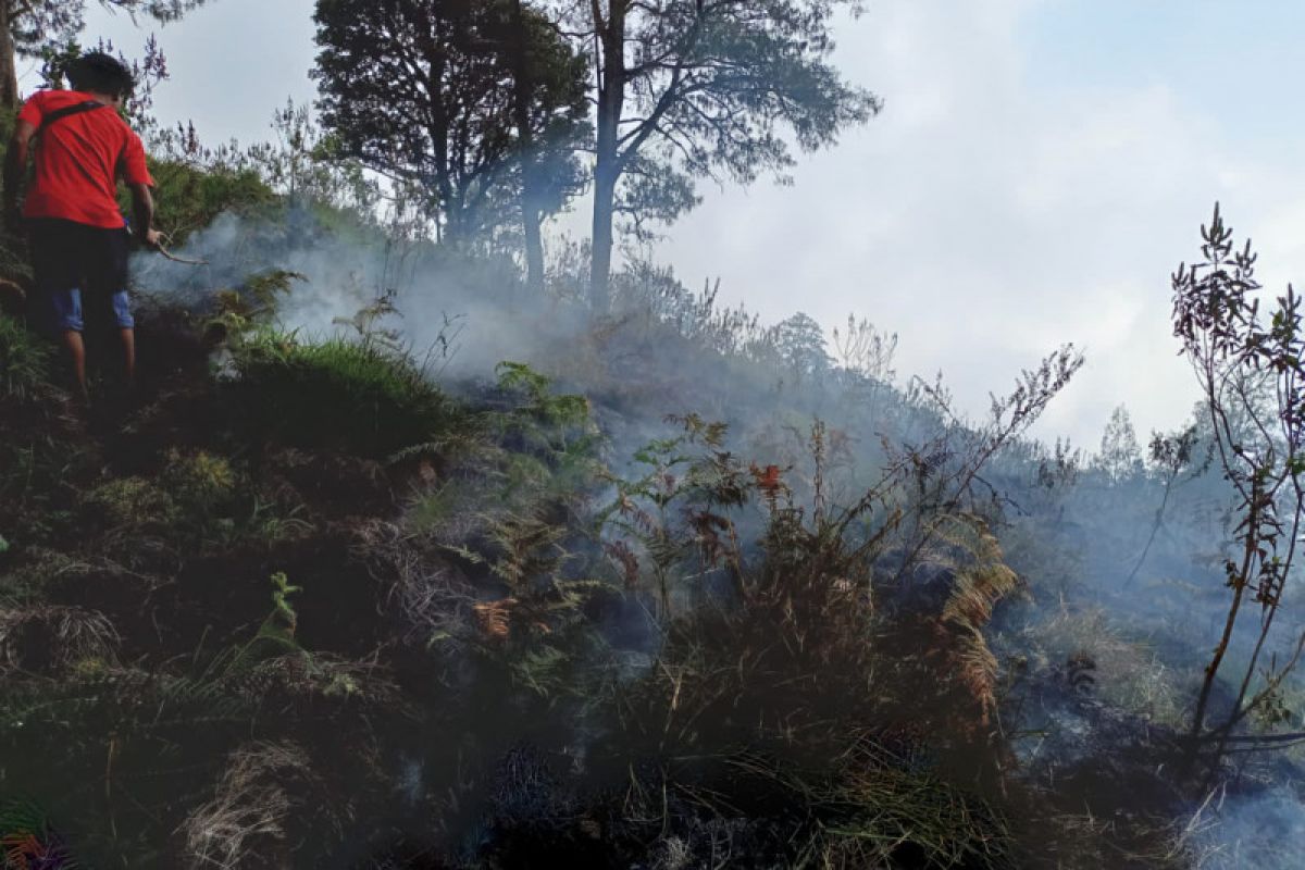 Kebakaran hutan landa kawasan kaki Gunung Rinjani