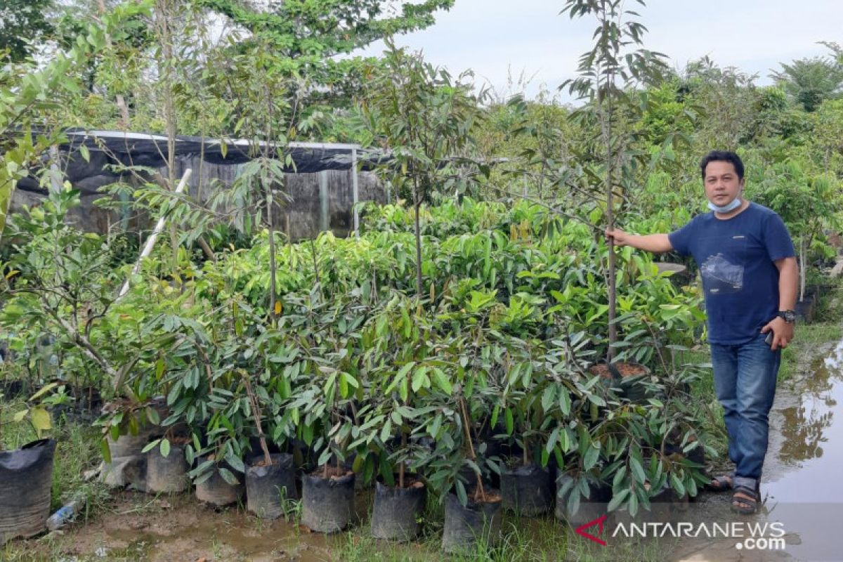 Syahrial, petani milenial modal nekat jadi produsen benih hortikultura