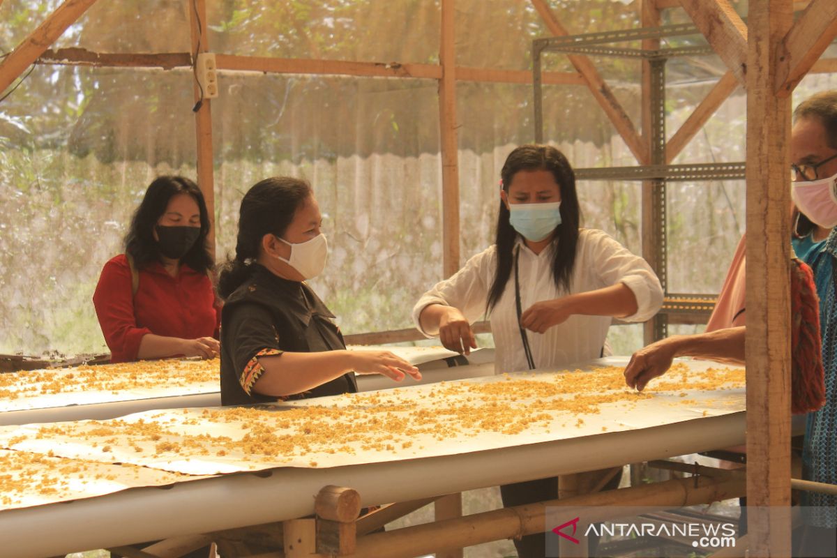 Puslit Sukosari Lumajang kenalkan bahan makanan pengganti beras dari pisang