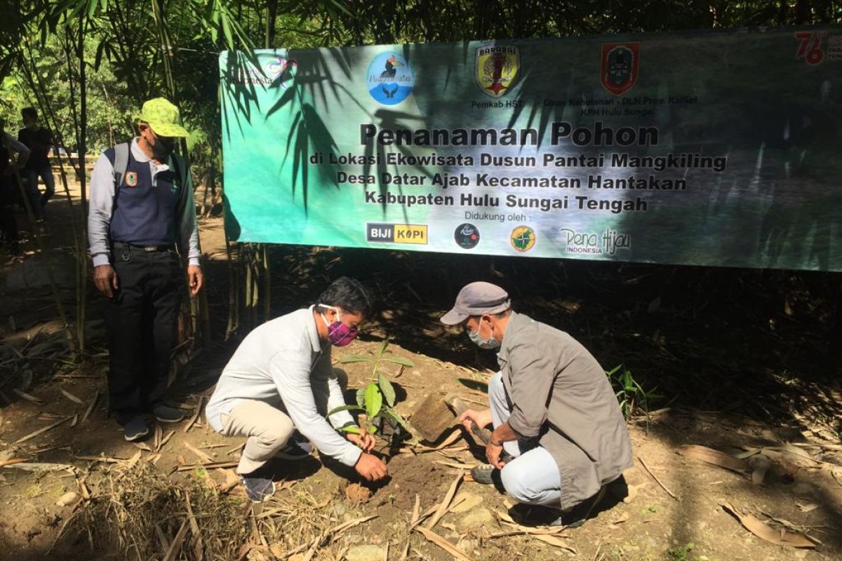 Pena Hijau-KPH tanam pohon pulihkan DAS Hulu Sungai