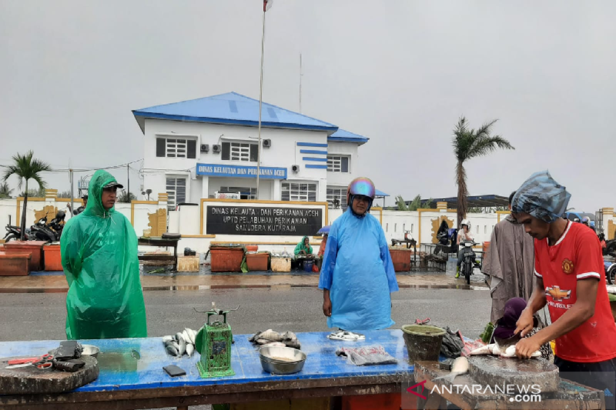 Pedagang ikan buka lapak di depan kantor DKP Aceh, ini penyebabmya