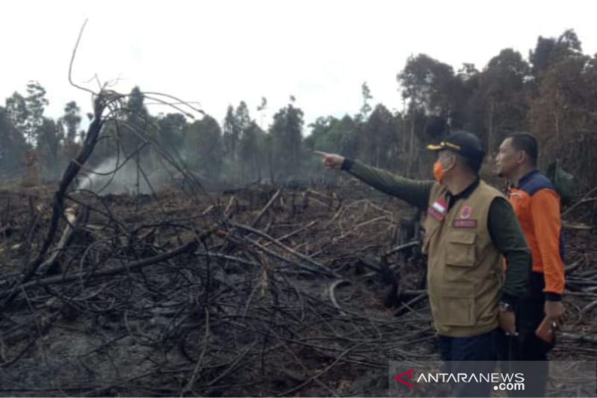 Polisi Riau tangani 20 kasus Karhutla dengan 24 tersangka