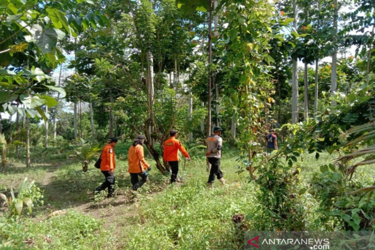 Basarnas hentikan pencarian pria hilang di hutan Kolaka Timur