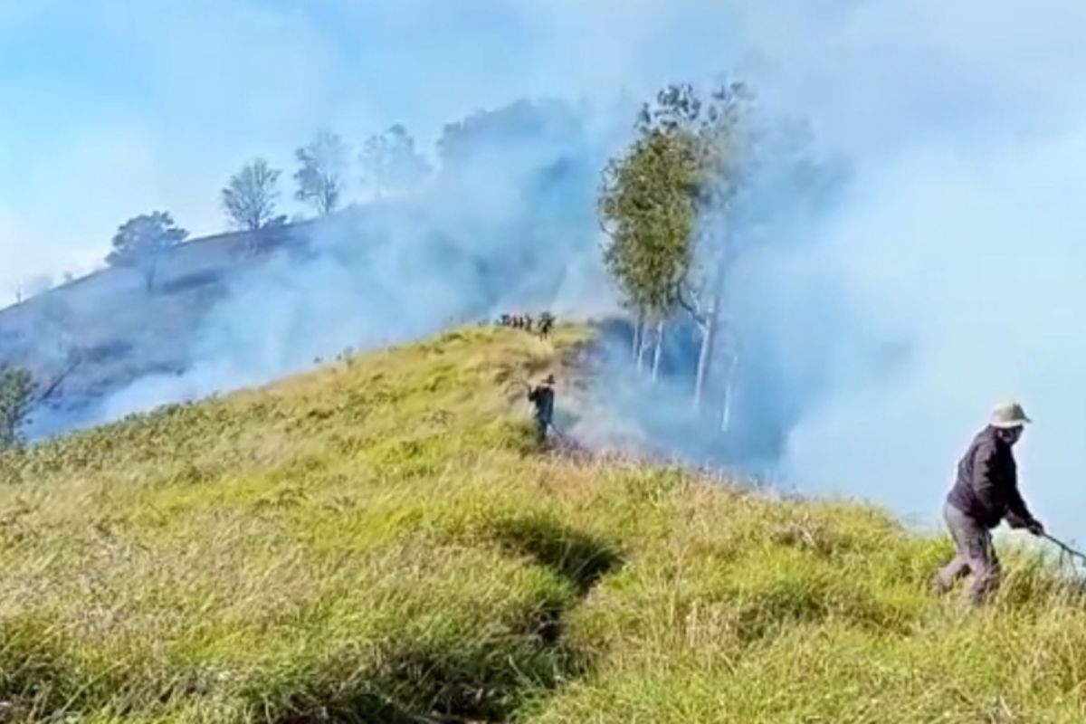 Pengelola TNGR turunkan petugas padamkan kebakaran kawasan hutan Bukit Kondo
