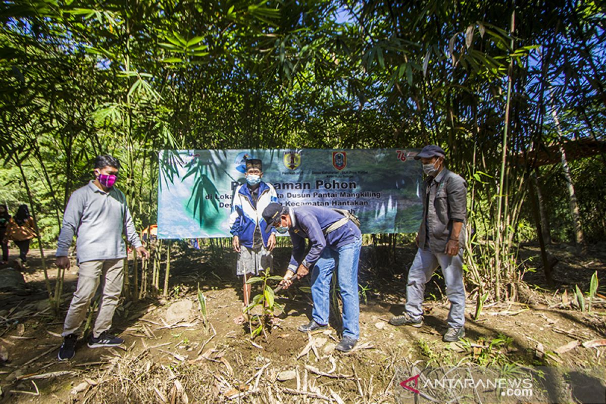 Penanaman 1000 Pohon di Pedalaman Pegunungan Meratus