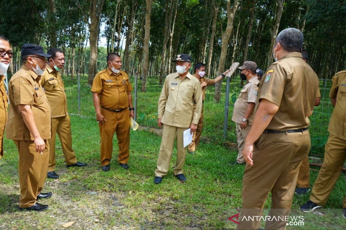 Bupati Asahan tinjau kondisi hutan kota TGS