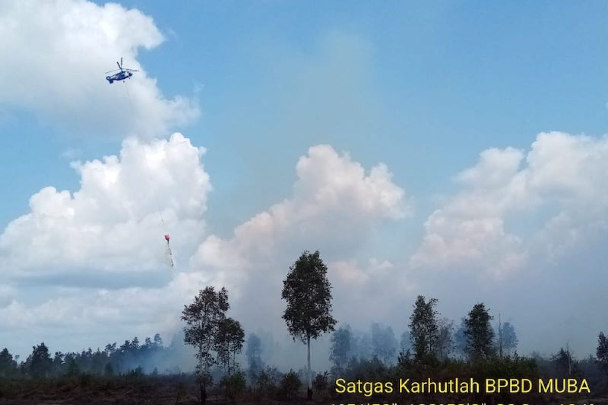 Karhutla landa di Muara Medak Musi Banyuasin