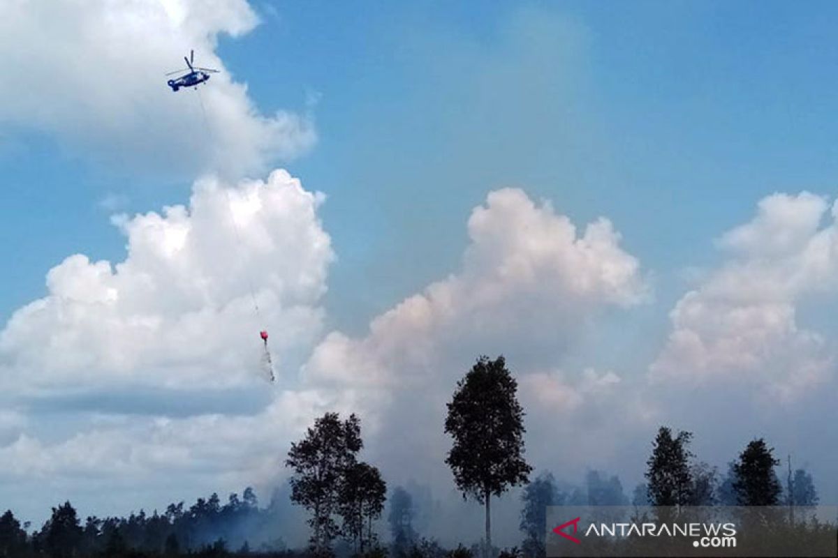 Karhutla landa di Muara Medak Musi Banyuasin