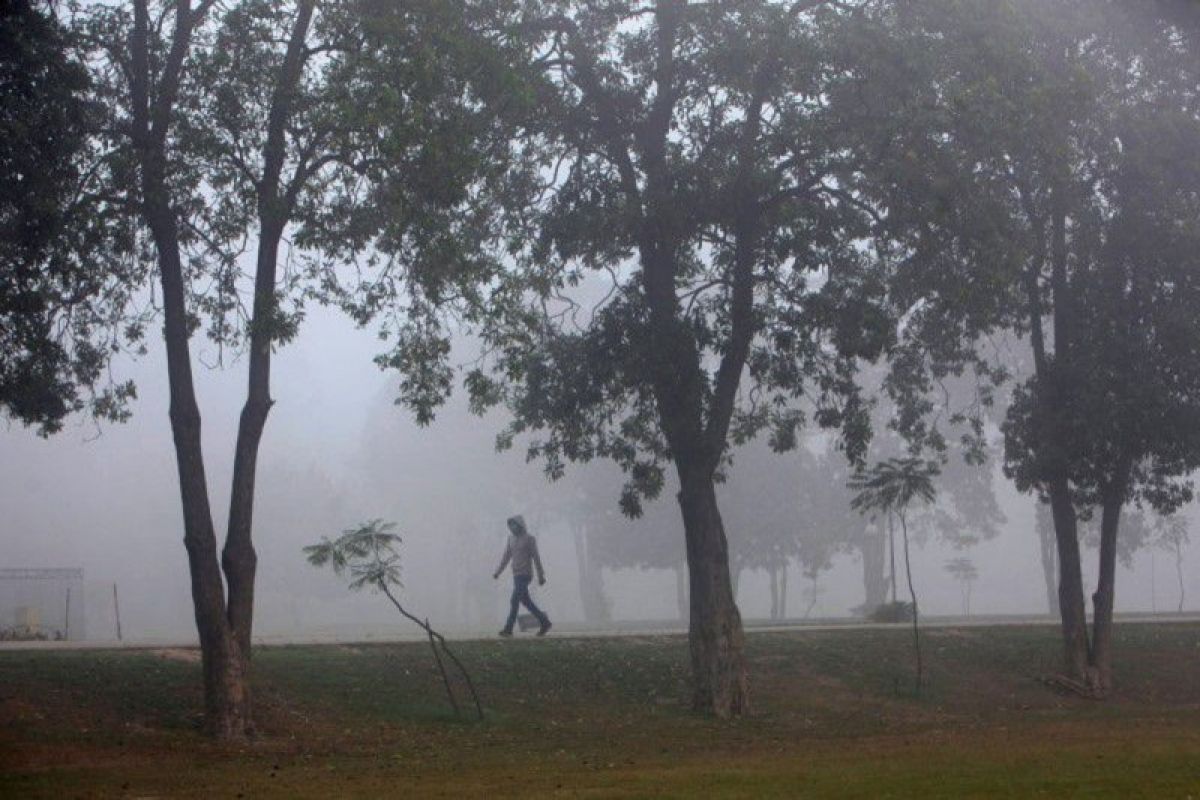 Pakistan akan tanam 10 miliar pohon guna untuk lawan polusi