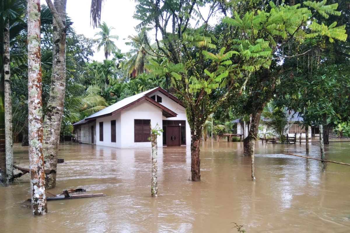 Empat Kecamatan di Aceh Jaya terendam banjir