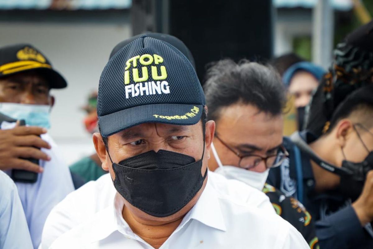 Countries should intensify cooperation to combat illegal fishing