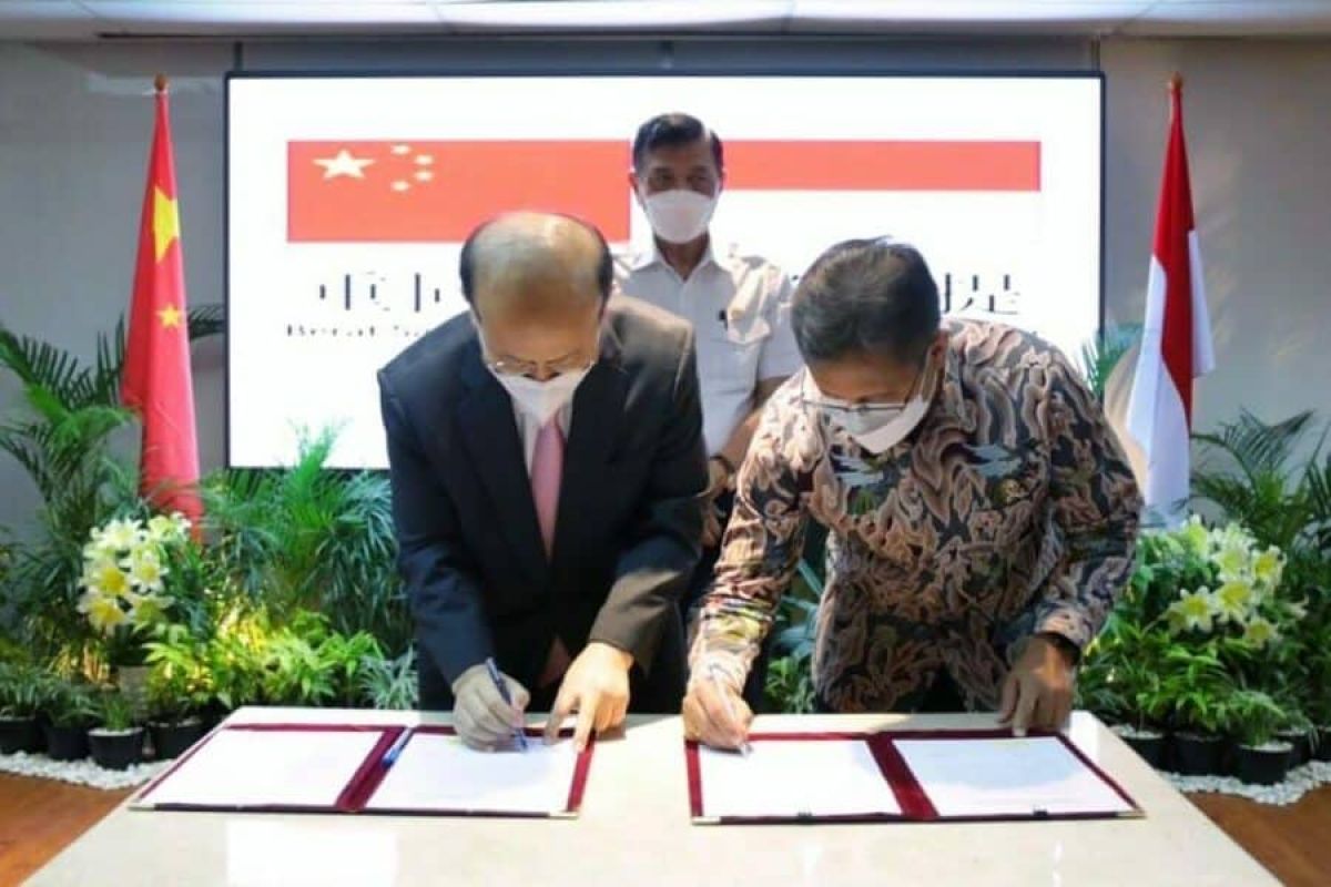 Will support Chinese investment in Indonesia's health sector: Luhut