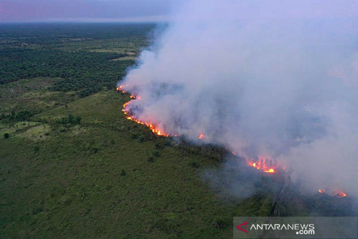 Perusahaan HTI kerahkan helikopter pantau Muara Medak pasca-karhutla