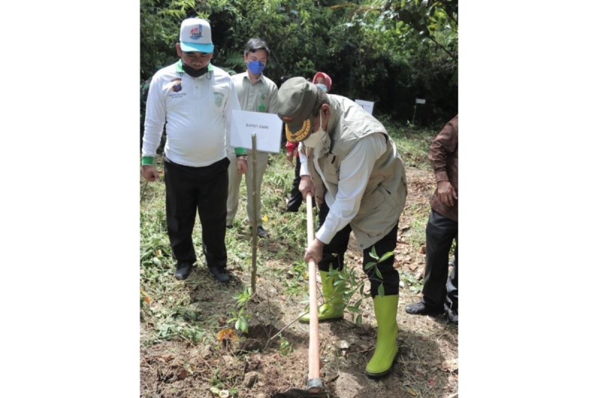 Sumber mata air di Dairi-Sumatera Utara ditanami ratusan pohon
