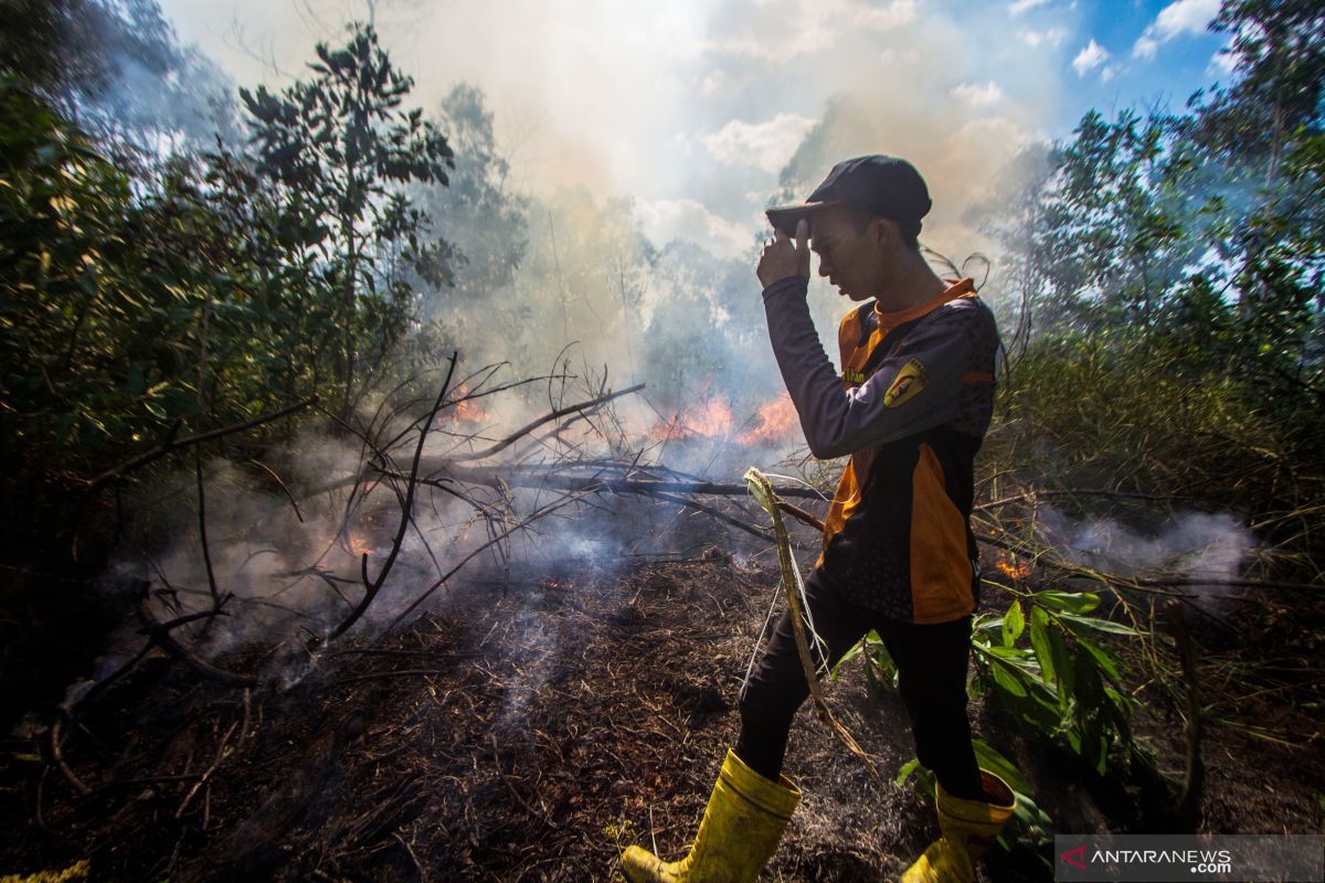 Dari pantauan BMKG, ada 50 titik panas di Kalimantan Selatan