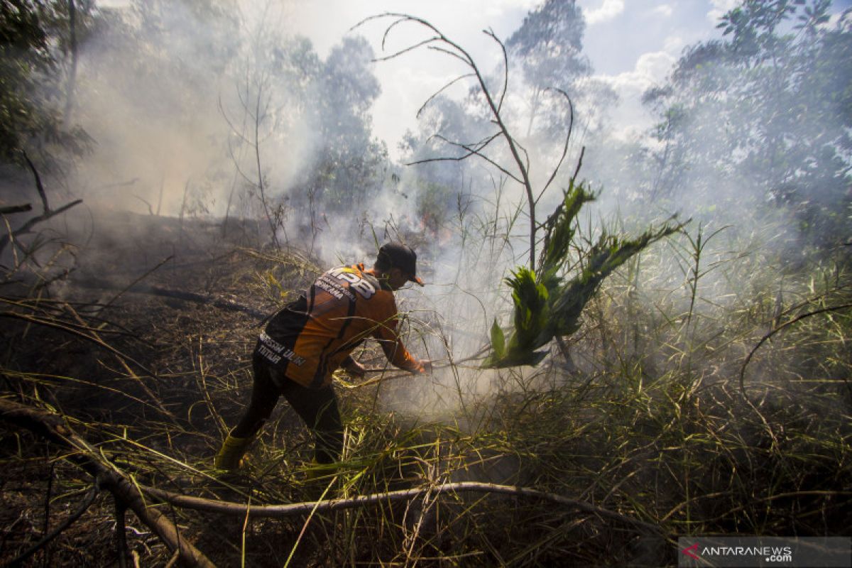 50 hotspots detected in South Kalimantan: BMKG