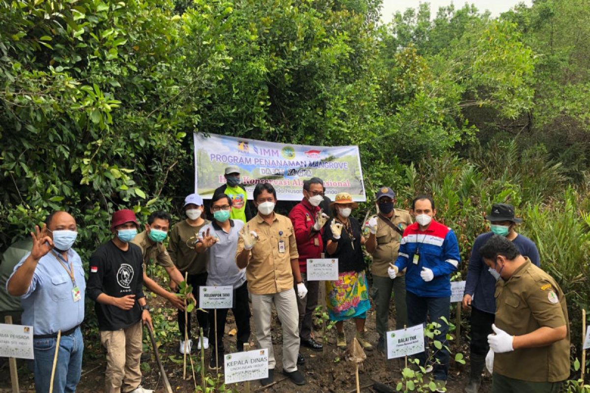 Pertamina Gas Kalimantan tanam 200 mangrove