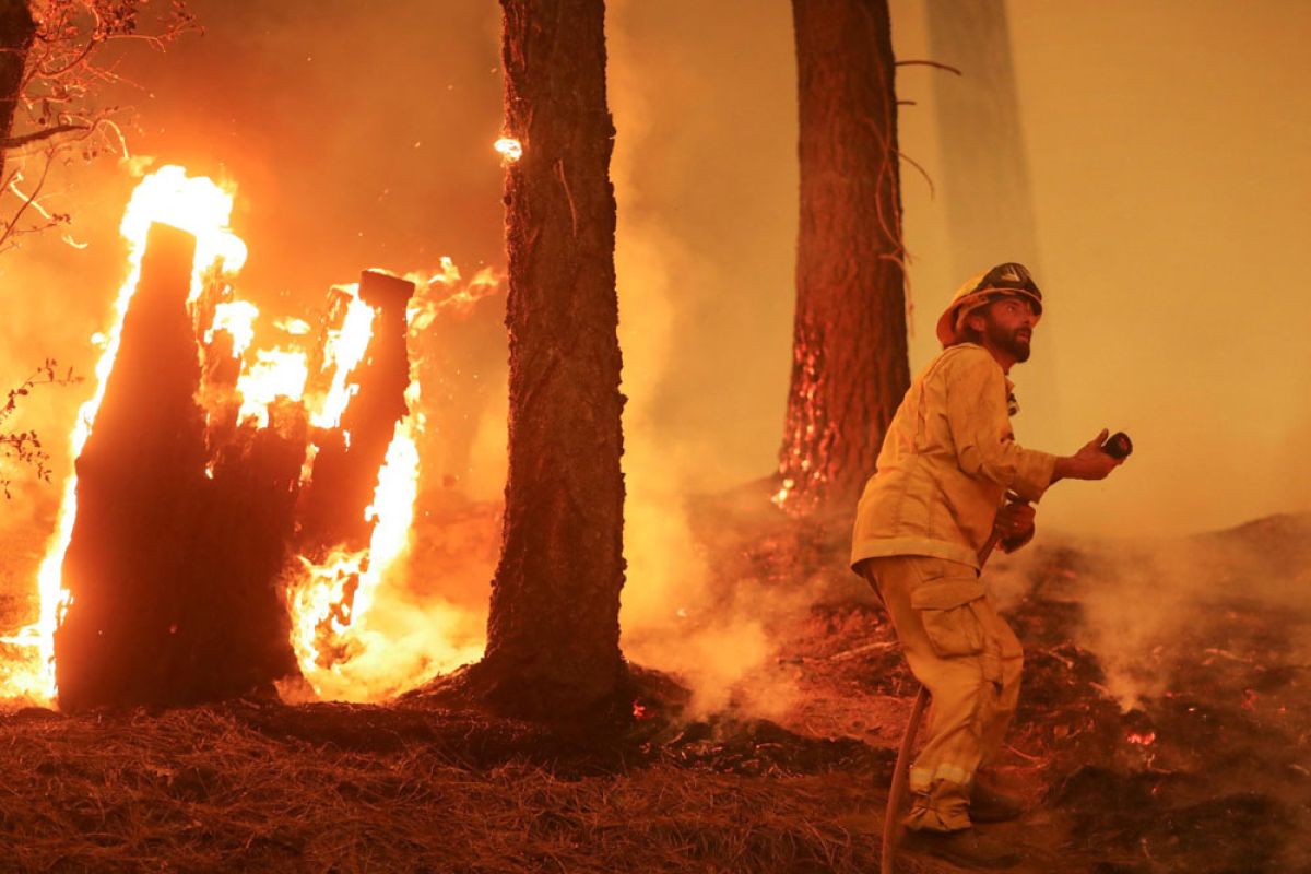 Kebakaran hutan di California makin gawat, suhu meningkat