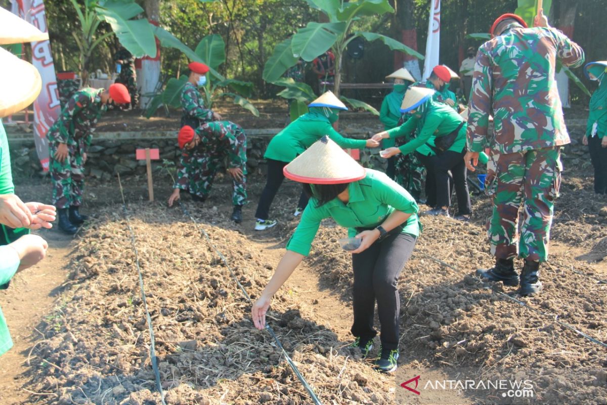 Kopassus kembangkan lahan ketahanan pangan untuk warga desa binaan