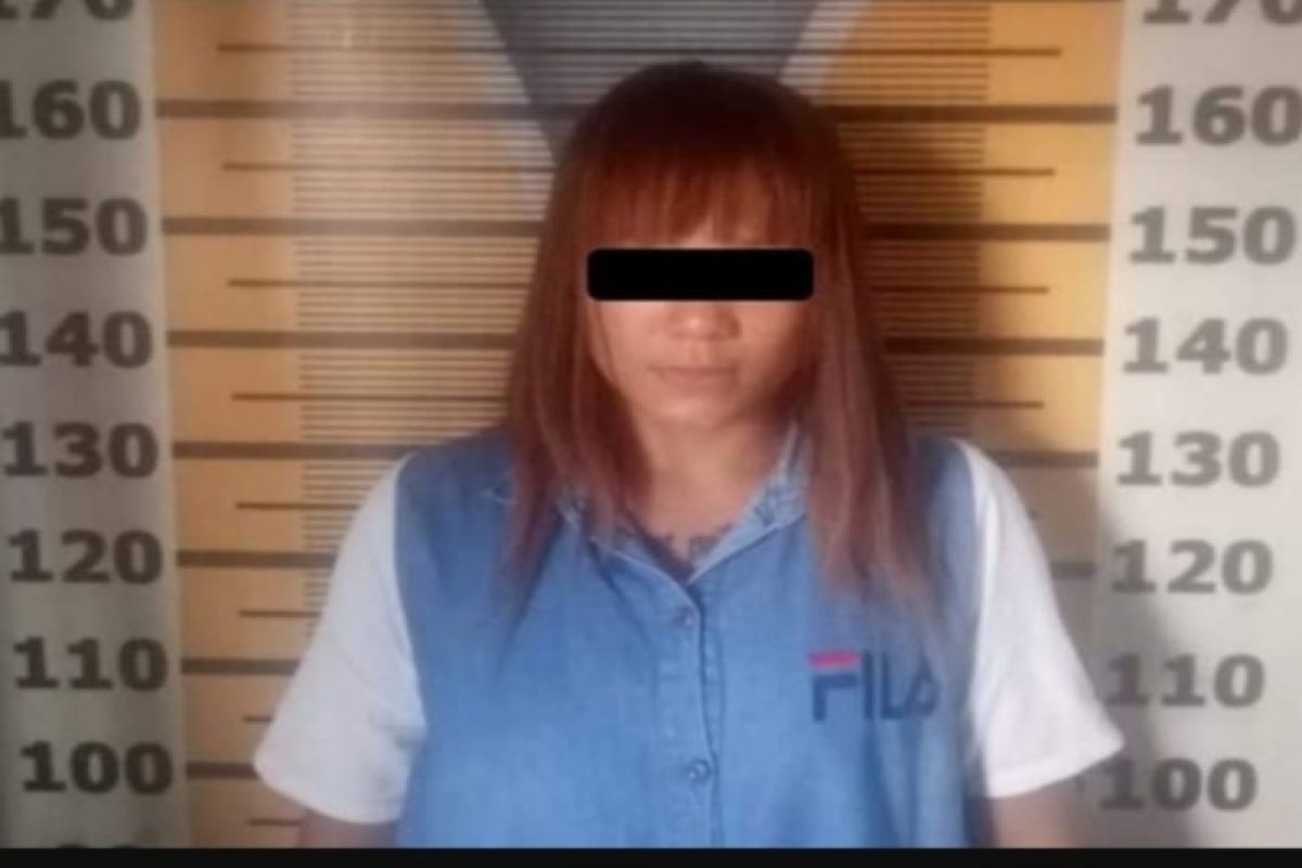 Polres Tebing Tinggi tangkap wanita pemilik sabu