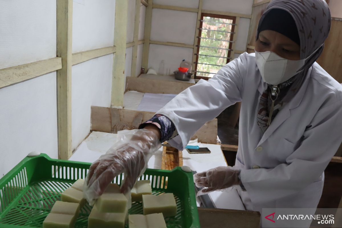 Ibu-ibu di Padang Pariaman manfaat tanaman di pekarangan produksi sabun kesehatan VCO (Video)