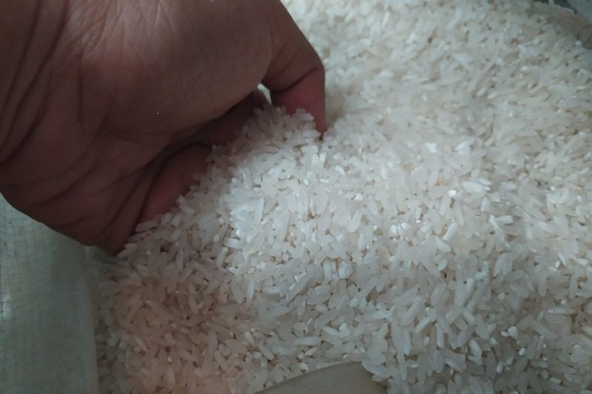 Expert calls to evaluate Bulog's role in rice supply chain