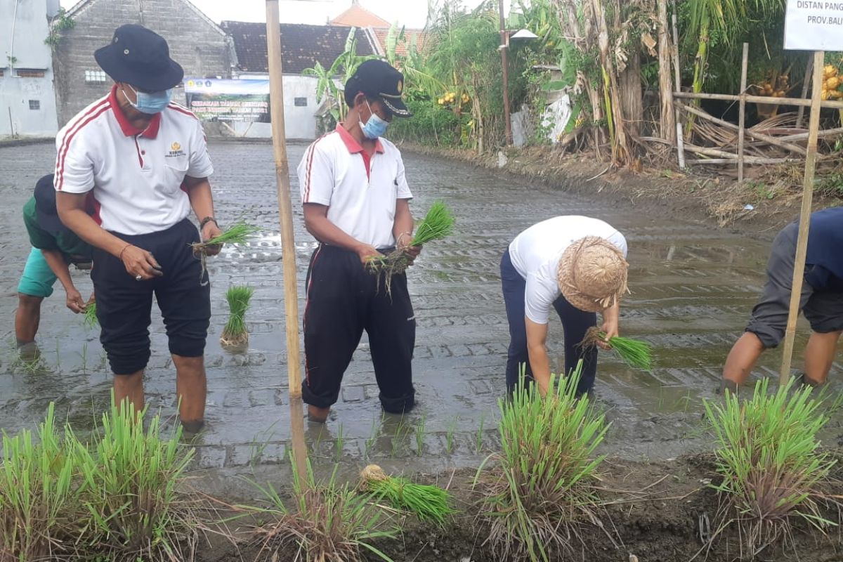 Pemkab Badung ajak masyarakat geluti pertanian