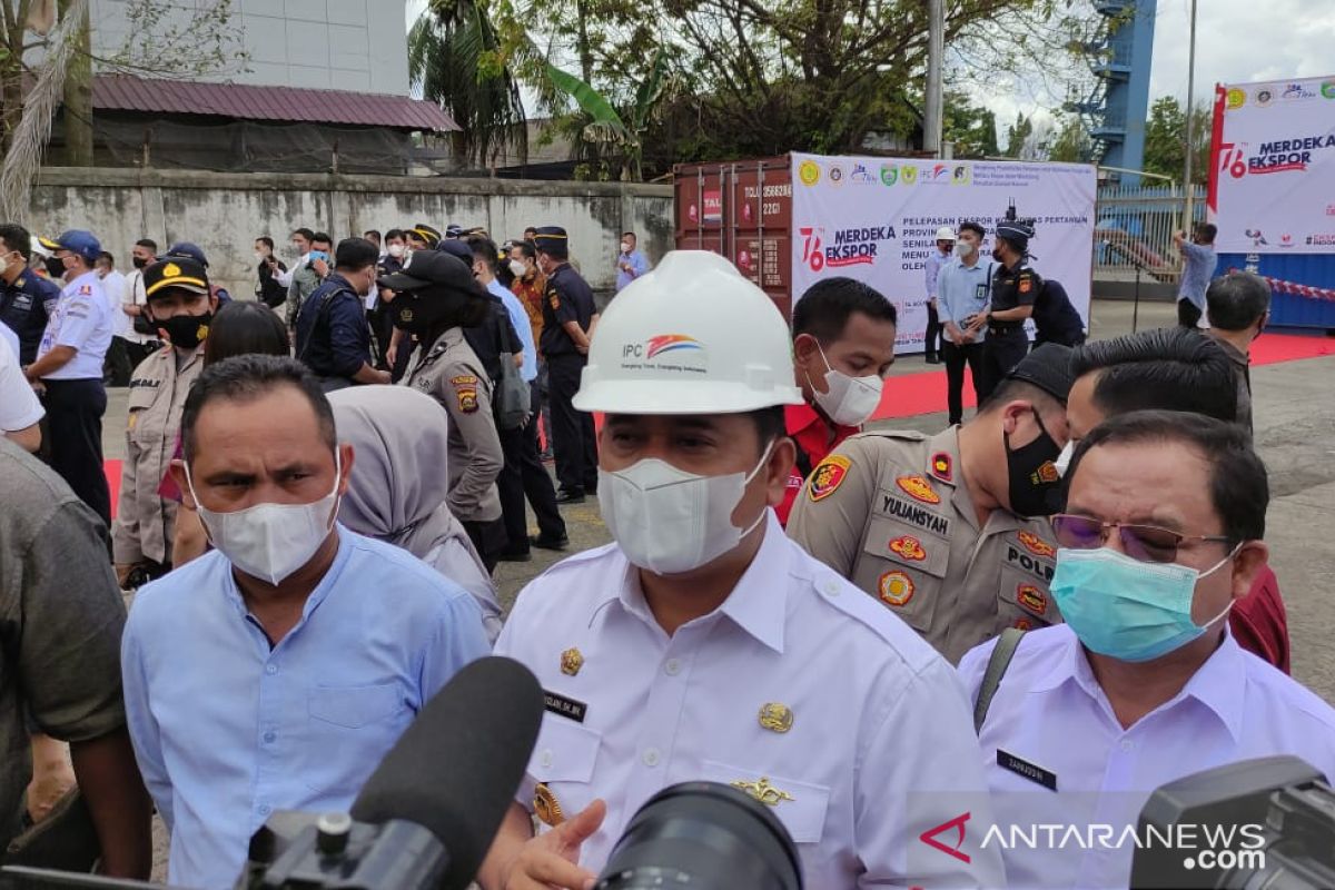 Menteri Pertanian siapkan Sumsel menjadi penghasil tanaman Porang