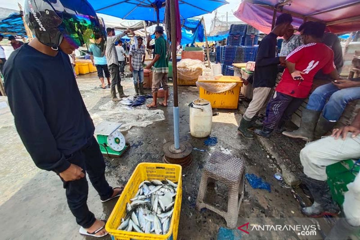 Tangkapan ikan nelayan di Aceh Timur menurun