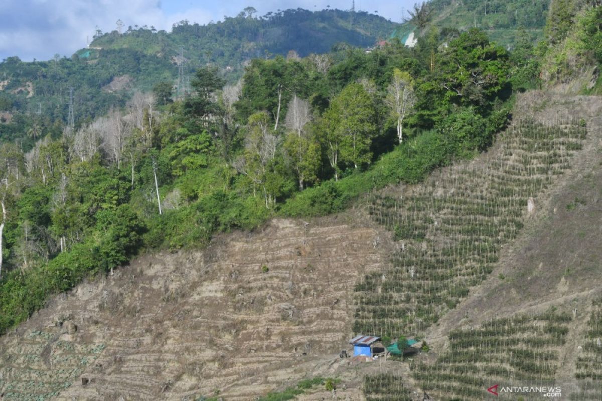 Pendaftaran tanah  di seluruh Indonesia jadi momentum pengakuan masyarakat kawasan hutan