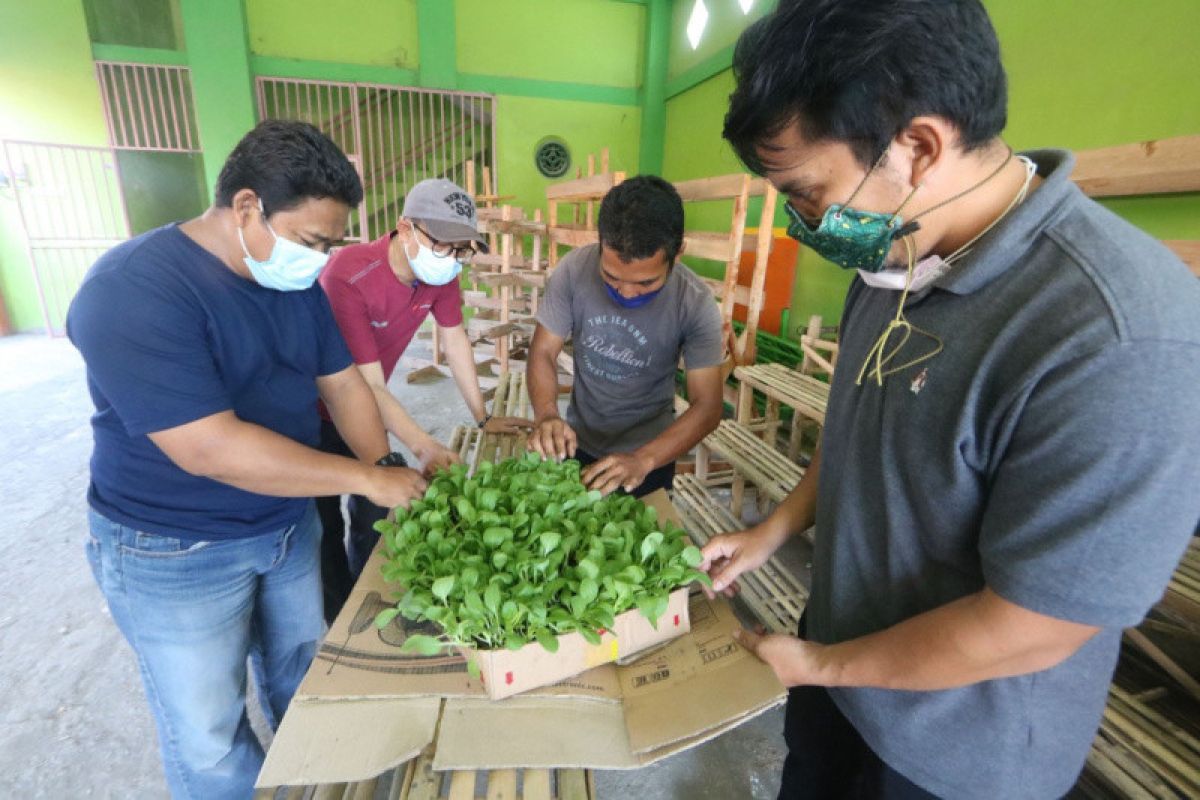 PII perluas cakupan "urban farming" di Kota Semarang