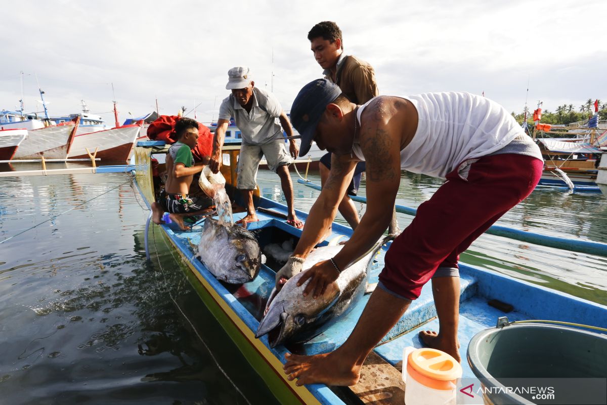 Memperkuat kolaborasi penangkapan ikan secara berkelanjutan